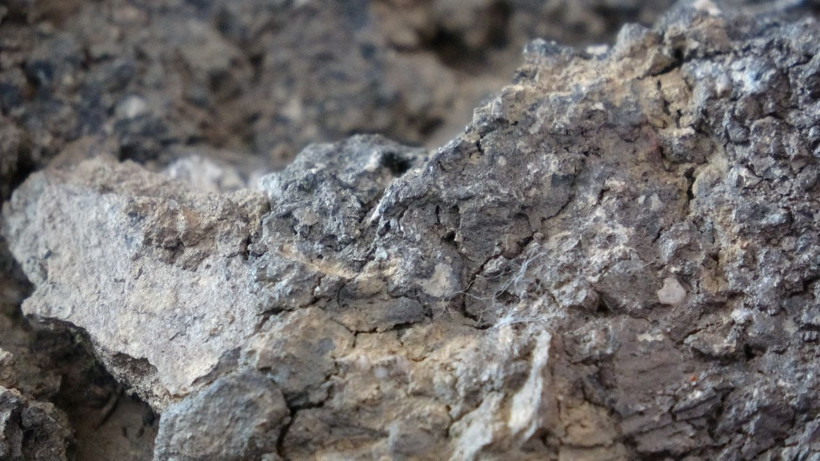 Mantar toplarken buldu, gizemli taşı görenler 'artık milyonersin' diyor: NASA ile irtibata geçeceğiz - Resim: 3