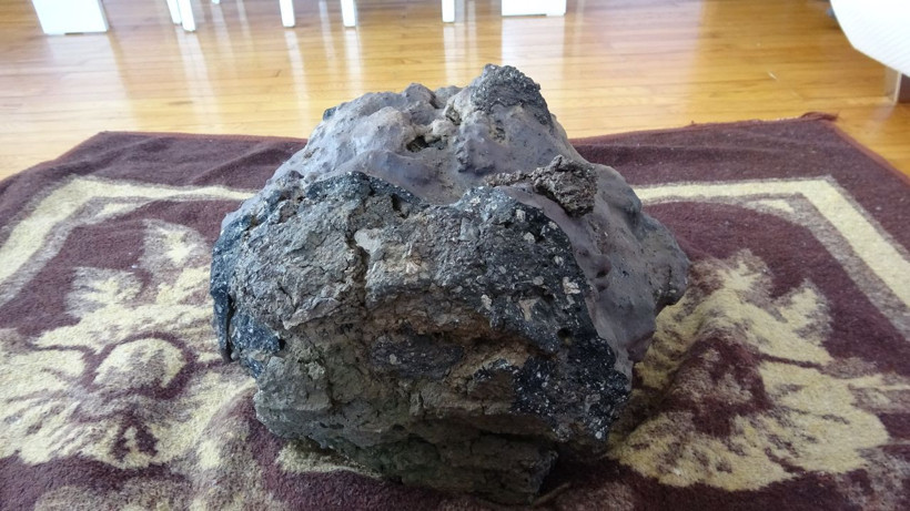 Mantar toplarken buldu, gizemli taşı görenler 'artık milyonersin' diyor: NASA ile irtibata geçeceğiz - Resim: 2