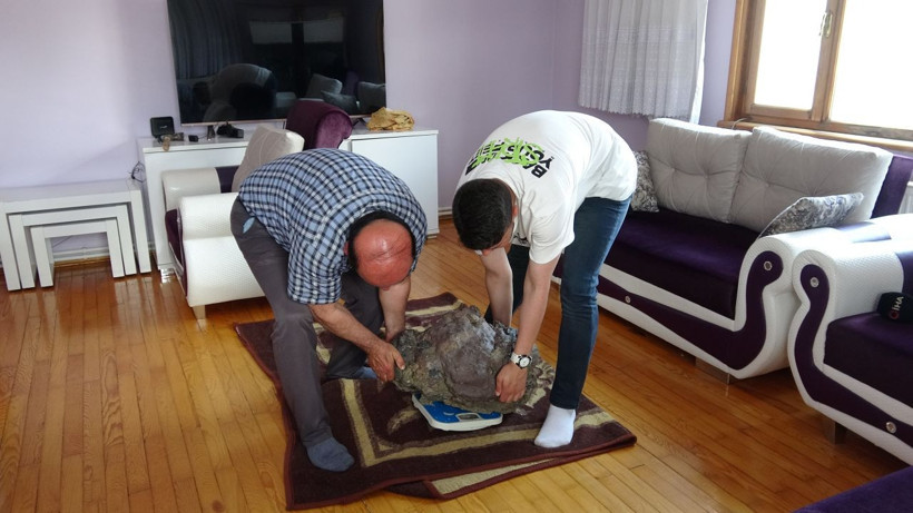 Mantar toplarken buldu, gizemli taşı görenler 'artık milyonersin' diyor: NASA ile irtibata geçeceğiz - Resim: 1