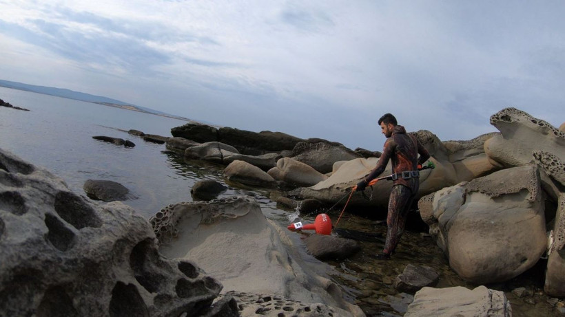 Zehirli ve tam 4 metre boyunda! Marmara Denizi'nde görüldü görüntüsü bile ürkütücü - Resim: 4