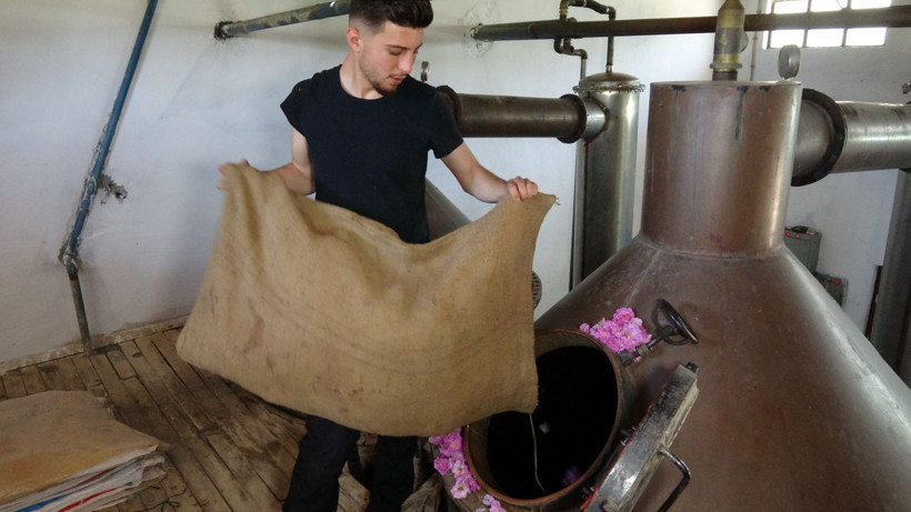 Binbir zahmetle toplanıp suyu ve yağı çıkarılıyor: Litresi 10 bin euro! (Yaklaşık 258 bin 449 TL) - Resim: 2