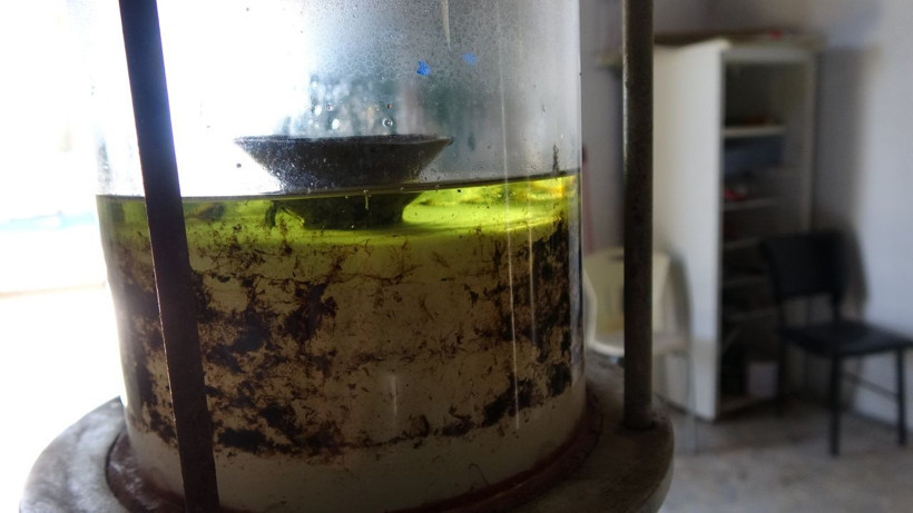 Binbir zahmetle toplanıp suyu ve yağı çıkarılıyor: Litresi 10 bin euro! (Yaklaşık 258 bin 449 TL) - Resim: 3