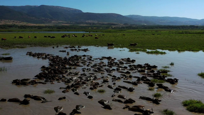 Tokat'ta Afrika'yı aratmayan görüntüler - Resim: 2