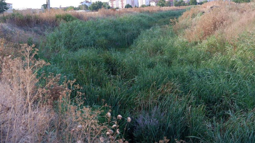 Güzelliğiyle büyüleyen dereden eser kalmadı! Şimdi çöpler ve yosunlarla kaplı balçığa dönüştü - Resim: 1