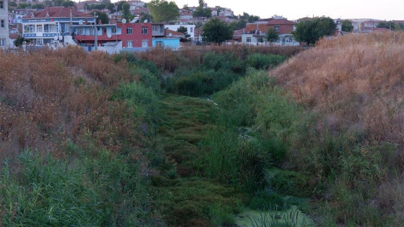 Güzelliğiyle büyüleyen dereden eser kalmadı! Şimdi çöpler ve yosunlarla kaplı balçığa dönüştü - Resim: 2