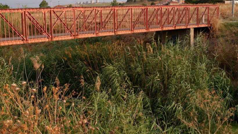 Güzelliğiyle büyüleyen dereden eser kalmadı! Şimdi çöpler ve yosunlarla kaplı balçığa dönüştü - Resim: 4