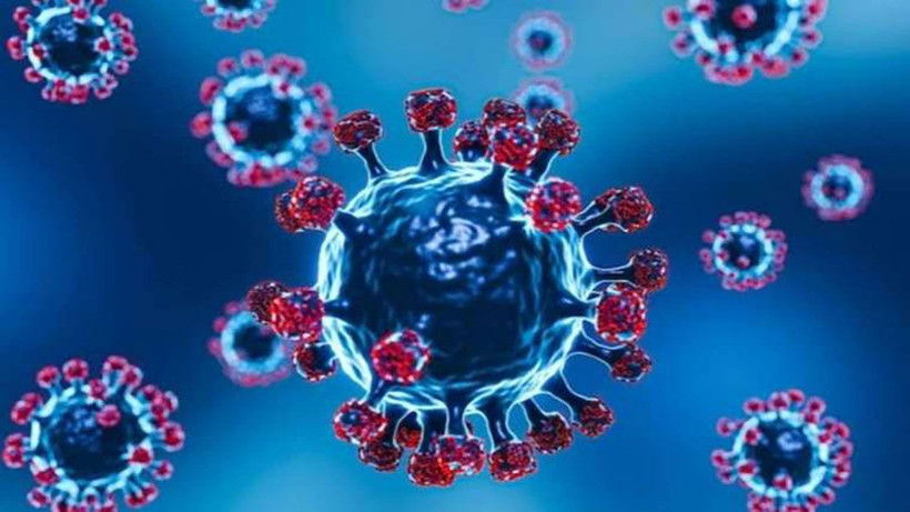 Aşı olmadığı için işten atılanlara müjde! Yargıdan covid aşısı kararı çıktı - Resim: 3