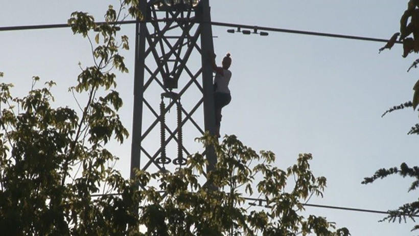 İntihar etmemek için kedisini istedi, vahşet yaşattı! Kedisini metrelerce yükseklikten atarak öldürdü - Resim: 3