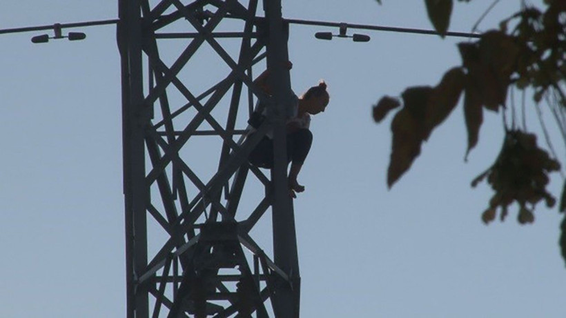 İntihar etmemek için kedisini istedi, vahşet yaşattı! Kedisini metrelerce yükseklikten atarak öldürdü - Resim: 4