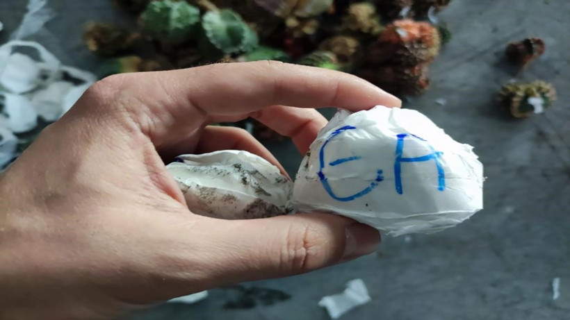 Yoğunluk süphe uyandırdı! Sarp Sınır Kapısı’nda 2 bin 850 adet kaçak kaktüs ele geçirildi - Resim: 1