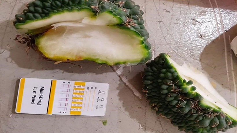 Yoğunluk süphe uyandırdı! Sarp Sınır Kapısı’nda 2 bin 850 adet kaçak kaktüs ele geçirildi - Resim: 3