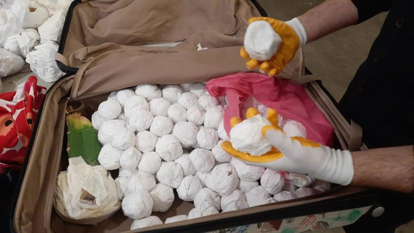 Yoğunluk süphe uyandırdı! Sarp Sınır Kapısı’nda 2 bin 850 adet kaçak kaktüs ele geçirildi - Resim: 4