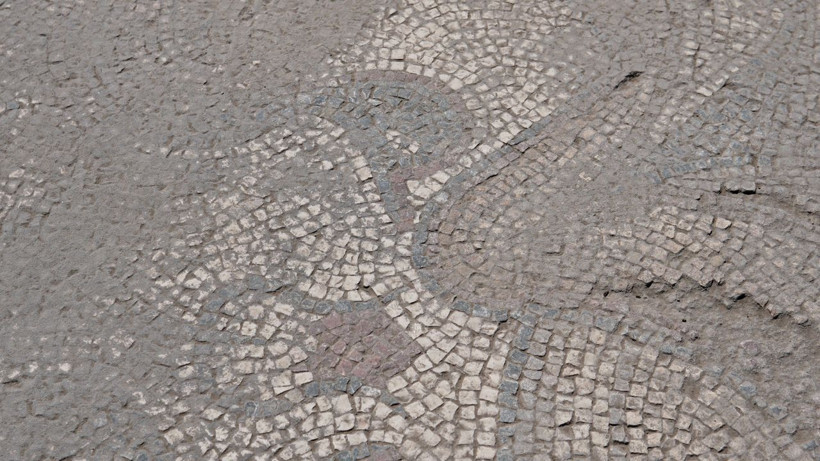 Elazığ'da heyecanlandıran keşif! Tarlasını sürerken denk geldi, hemen ekiplere haber verdi: Kazı çalışmaları başladı - Resim: 3