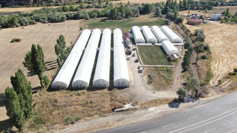 Sivas'ta yapılamaz denileni yaptı! Şimdi taleplere yetişemiyor: Herkesin bir evi, arabası varsa bir tane de... - Resim: 1