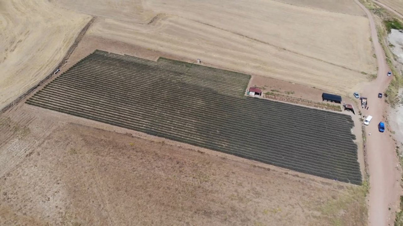 Kadın girişimci devletten aldığı destekle bu işe başladı çifte kazanç! Yüzbinler görmek için akın etti - Resim: 2