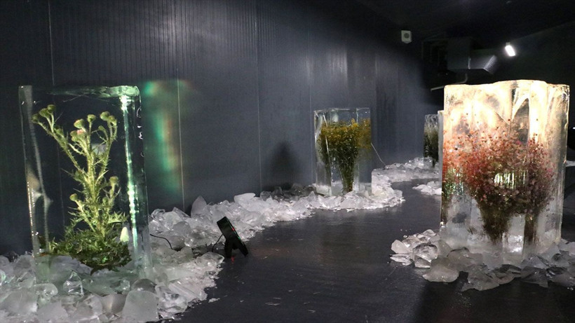 Bu müze görenleri adeta büyüledi! Küresel ısınmayı buz içerisindeki bitkilerle anlattılar - Resim: 2