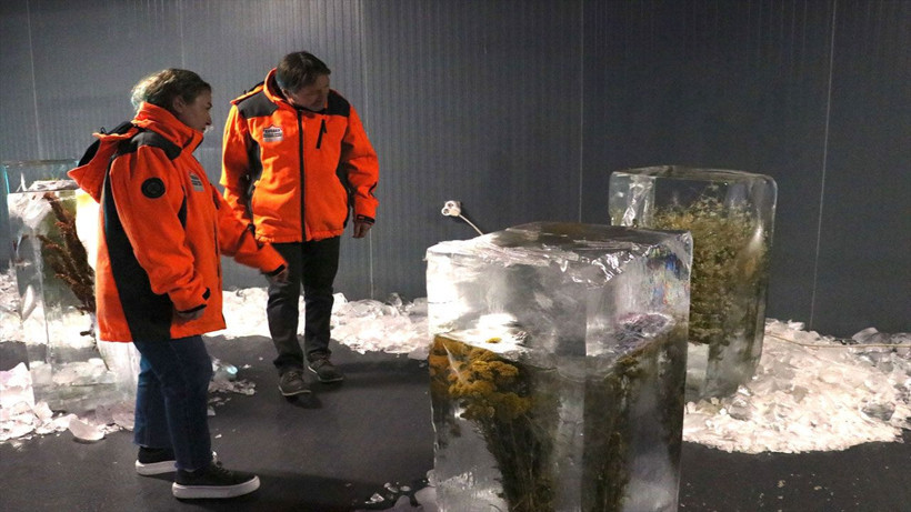 Bu müze görenleri adeta büyüledi! Küresel ısınmayı buz içerisindeki bitkilerle anlattılar - Resim: 3