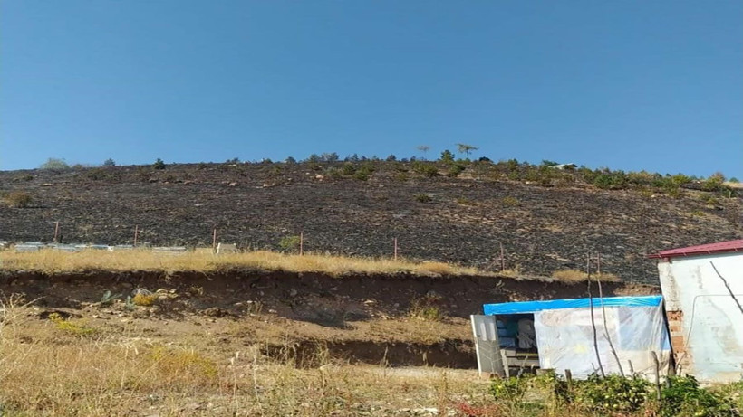 Ektiği fidanları yangından korumak isteyen 79 yaşındaki adam canından oldu! - Resim: 3