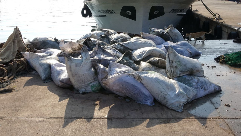 Ağlarına balık yerine çuval takıldı, çuvalın içini açan balıkçılar şaşkına döndü: İlk defa gördük - Resim: 3