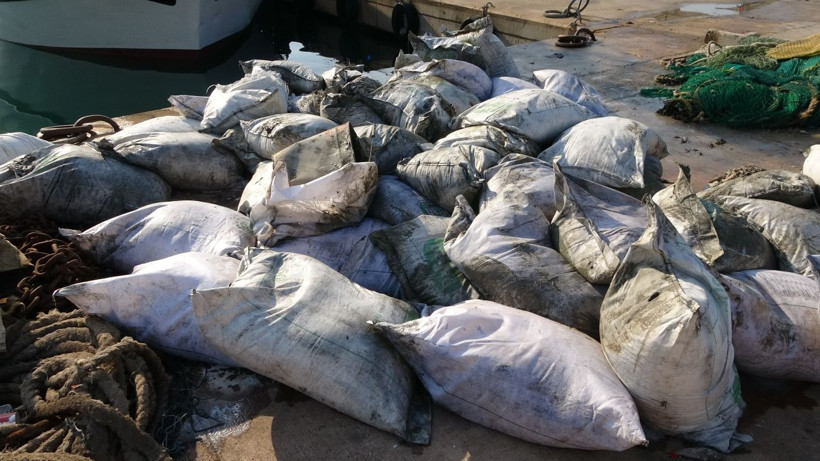 Ağlarına balık yerine çuval takıldı, çuvalın içini açan balıkçılar şaşkına döndü: İlk defa gördük - Resim: 1