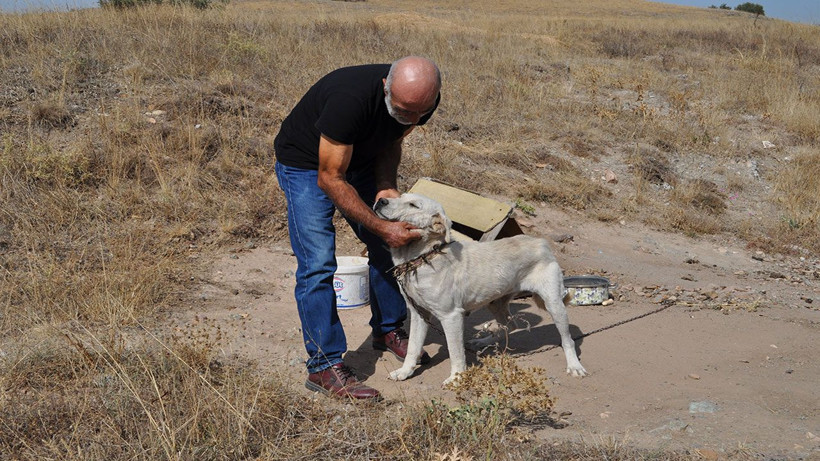 Enflasyondan ve fiyatlardan haberleri yok! Konteynerde yaşıyorlar, takasla alışveriş yapıyorlar - Resim: 1