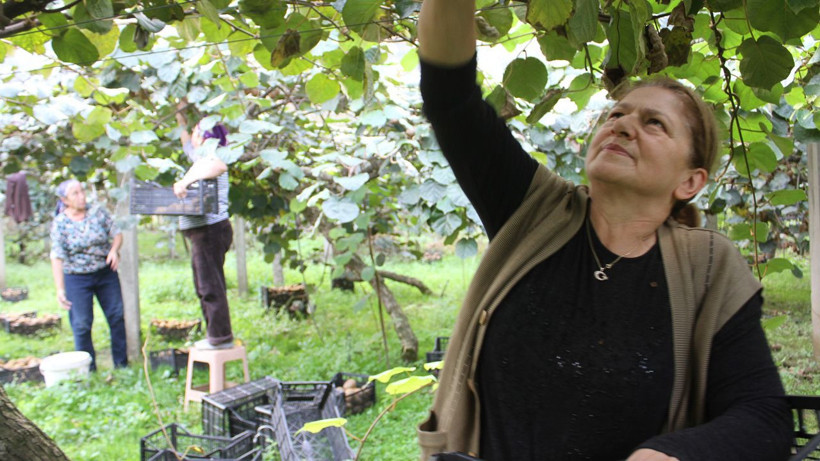 Başta herkes hobi olarak ekti, şimdi yüzler gülüyor! Yıllık getirisi tam tamına 100 milyon TL - Resim: 2