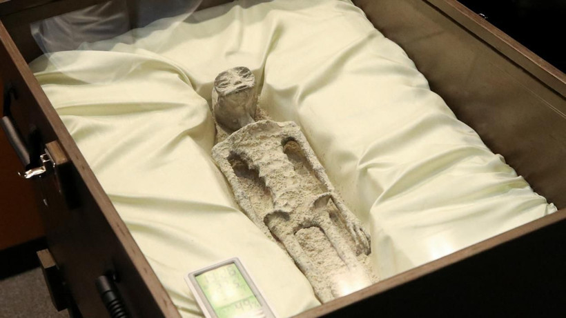 DNA sonuçları çıktı! Meclis'te gösterilen cesetler insana ait değil! Uzaylılar denilmişti... - Resim: 1