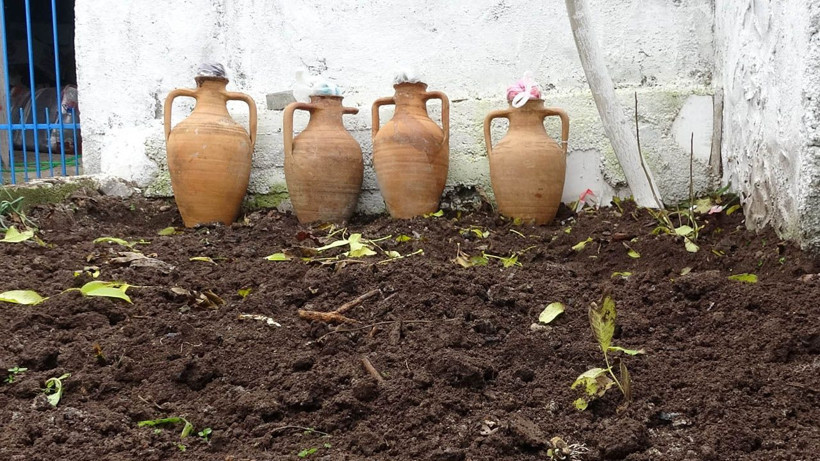 6 ay toprak altında saklanıyor, 1 yılda olgunlaşıyor, kilosu ise 500 TL! 400 yıllık ilginç gelenek... - Resim: 1