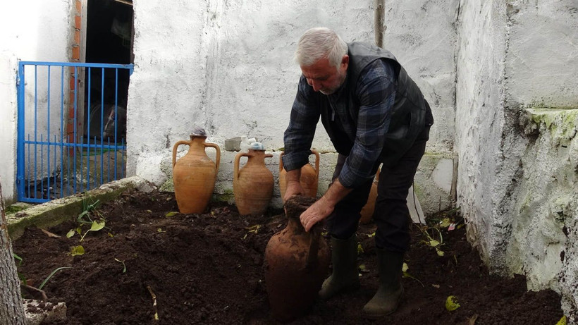 6 ay toprak altında saklanıyor, 1 yılda olgunlaşıyor, kilosu ise 500 TL! 400 yıllık ilginç gelenek... - Resim: 4