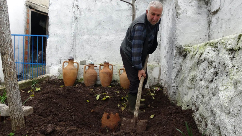 6 ay toprak altında saklanıyor, 1 yılda olgunlaşıyor, kilosu ise 500 TL! 400 yıllık ilginç gelenek... - Resim: 2