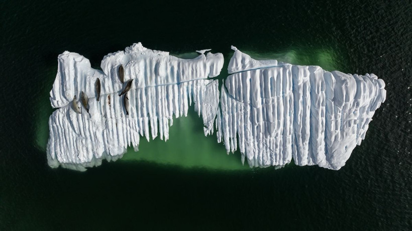 Türk bilim ekibi 8. kez Beyaz Kıta Antaktika'da! - Resim: 2