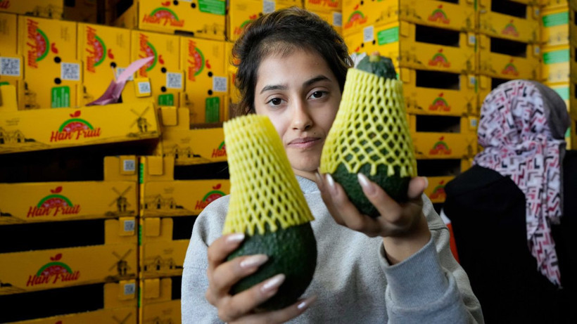 Kilogramı 5 dolar! Türk avokadosu Rusya'da yok satıyor! - Resim: 3