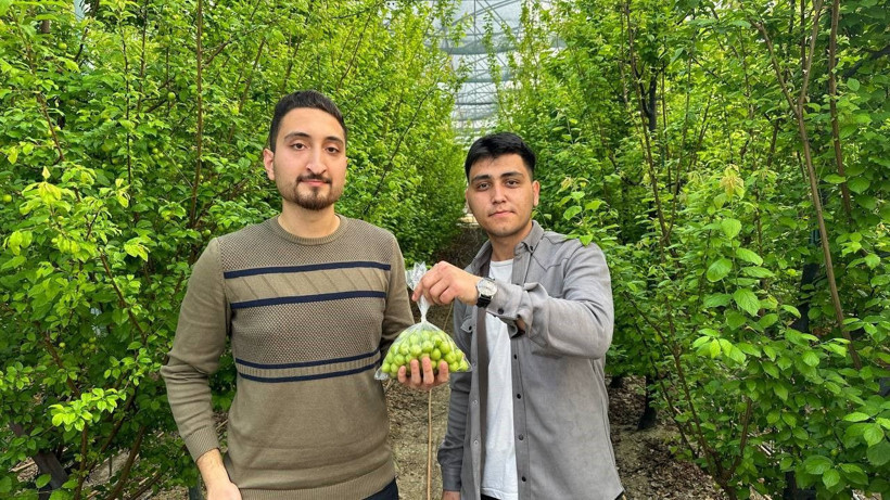 Fiyatı çeyrek altınla yarışıyor, Arap şeyhleri kilolarca sipariş veriyor! "Duyunca soluğu burada aldım" - Resim: 3