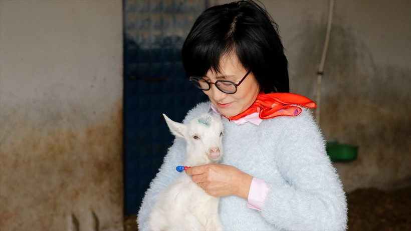 Kore'den geldi, Kocaeli'ye yerleşti, keçi çiftliği kurdu! - Resim: 2