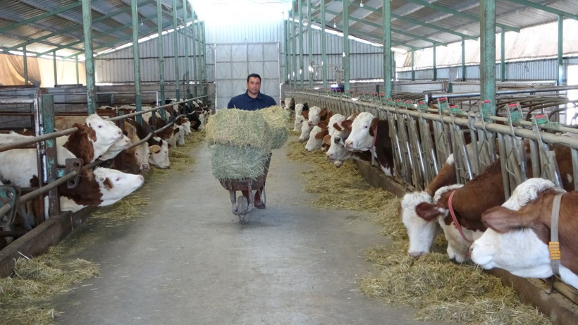 Öğretmenlik hayalini bıraktı çiftlik kurdu! - Resim: 1