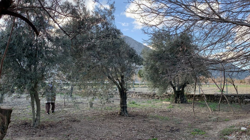 Milyonluk teklifleri reddetti, arazisini Jandarmaya bağışladı! - Resim: 3