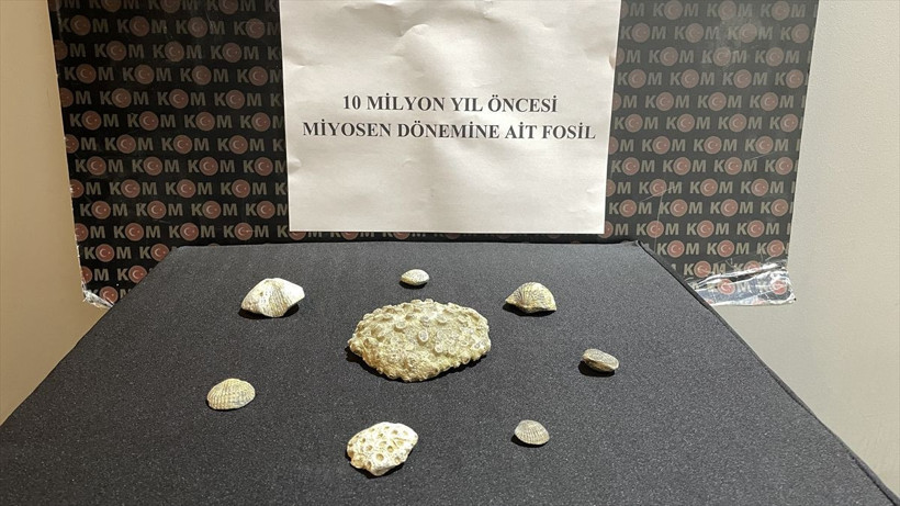 Kayseri'de ele geçirildi 10 milyon yıllık çıktı müzeye kaldırıldı - Resim: 3