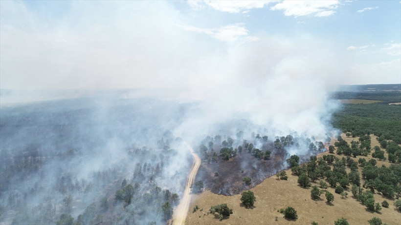 Edirne Lalapaşa'da orman yangını! Köylüler ve ekipler alevlere müdahale ediyor, yaralılar var! - Resim: 3