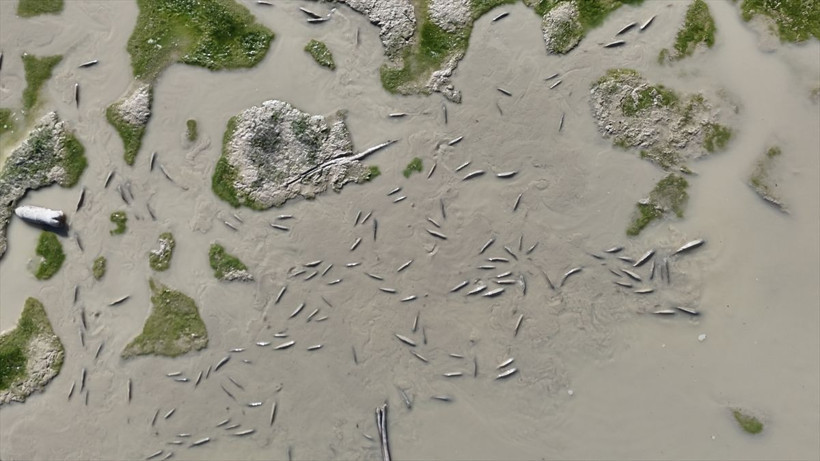 Barajda korkutan görüntü! "İlk defa görüyorum" - Resim: 3