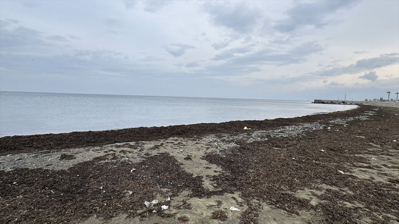 Hatay'ın bazı kıyılarında deniz suyu çekildi - Resim: 2