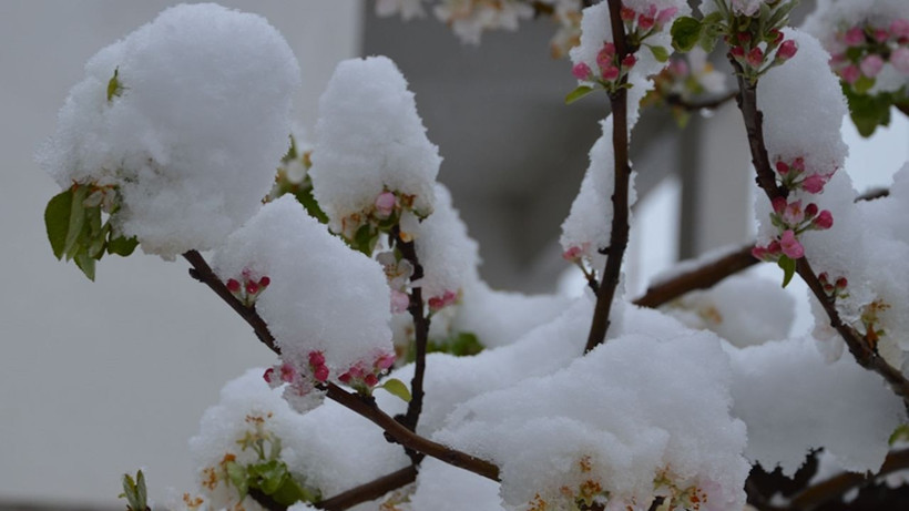 Baharı 10 gün daha unutun! Kar bastıracak MGM 12 ili sıraladı - Resim: 4