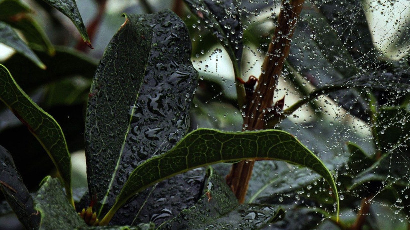 Kırkikindi yağmurları ikindi vakti gelecek 23 Nisan bayram havası hiç iyi değil - Resim: 2