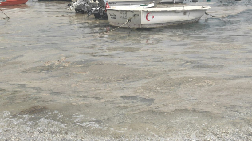 Marmara’da endişelendiren görüntü! Yeniden ortaya çıktı - Resim: 1