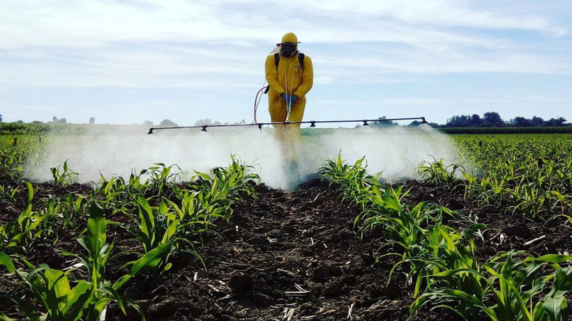 Türkiye'de en fazla pestisit bulunan 10 gıda! Resmen zehir tüketiyoruz - Resim: 1