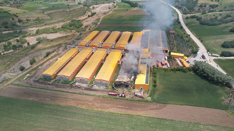 Ankara'da yumurta üretim tesisinde yangın çıktı! Bir kümeste 140 binden fazla tavuk... - Resim: 2