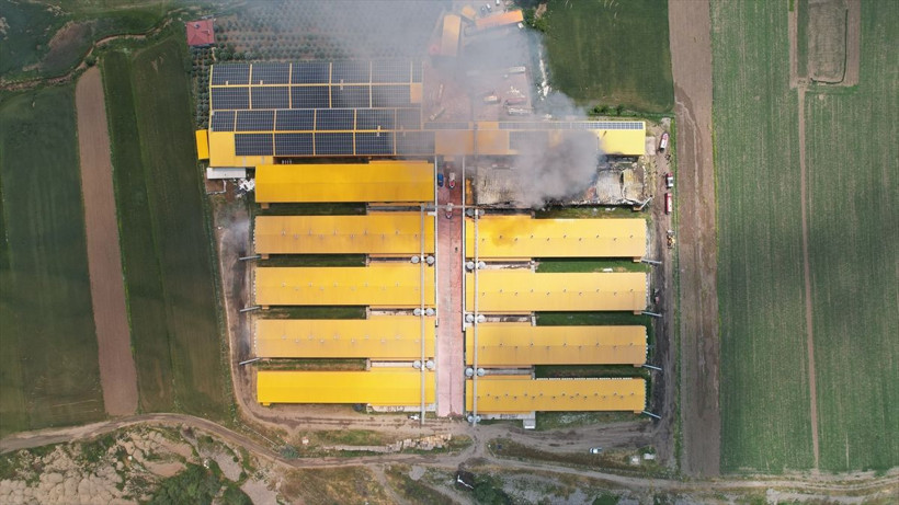 Ankara'da yumurta üretim tesisinde yangın çıktı! Bir kümeste 140 binden fazla tavuk... - Resim: 3