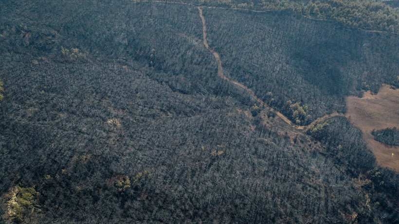 Bilecik'te orman yangınında zarar gören alanlar dronla görüntülendi - Resim: 12