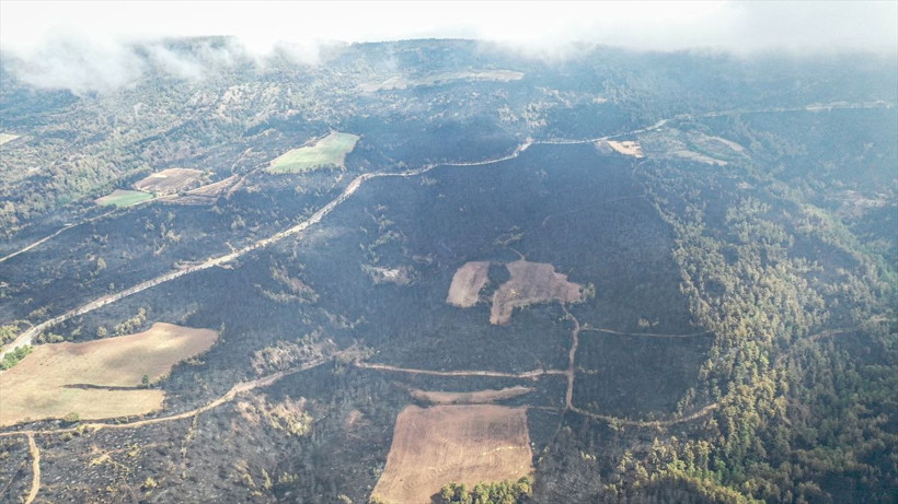 Bilecik'te orman yangınında zarar gören alanlar dronla görüntülendi - Resim: 1