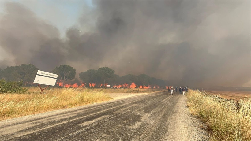 İstanbul'da orman yangını çıktı! Alevler yükseliyor - Resim: 1
