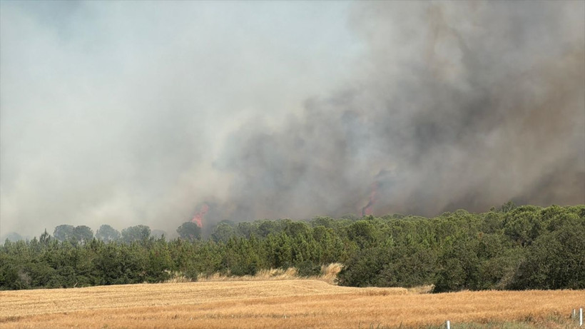 İstanbul'da orman yangını çıktı! Alevler yükseliyor - Resim: 3